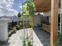 5室2廳3陽(yáng)臺(tái) 金江小區(qū)涵苑別墅客廳