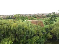 4室2廳2陽臺(tái) 俊秀園別墅其他