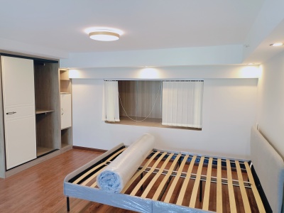 1室1廳1陽臺 新城吾悅廣場1號地塊