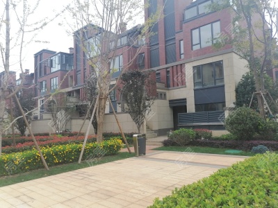 4室2廳 招商雍景灣