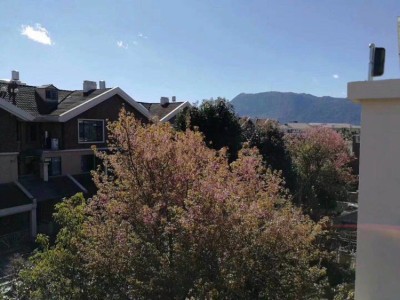 4室2廳2陽臺(tái) 俊秀園別墅其他