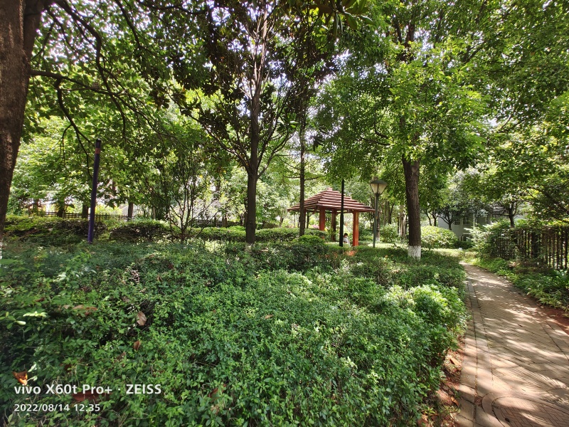 6室2廳3陽臺 金江小區(qū)涵苑別墅其他