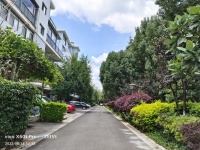 6室2廳3陽臺 金江小區(qū)涵苑別墅其他