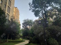 6室2廳3陽臺(tái) 紅星國際檀宮其他