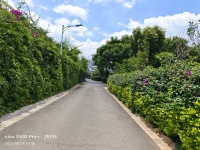 6室2廳3陽臺 金江小區(qū)涵苑別墅其他