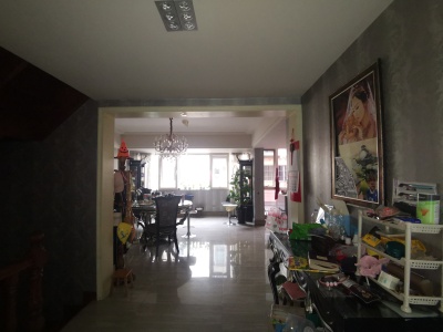 5室2廳3陽臺 林泉智苑別墅其他