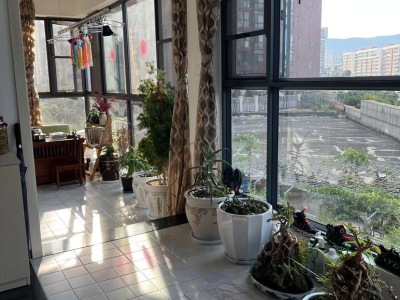 4室2廳2陽臺 德潤朗悅灣客廳