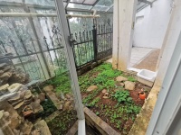 4室2廳2陽臺(tái) 清水木華別墅自家花園