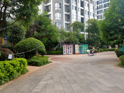 1室1陽(yáng)臺(tái) 銀杏金川客廳