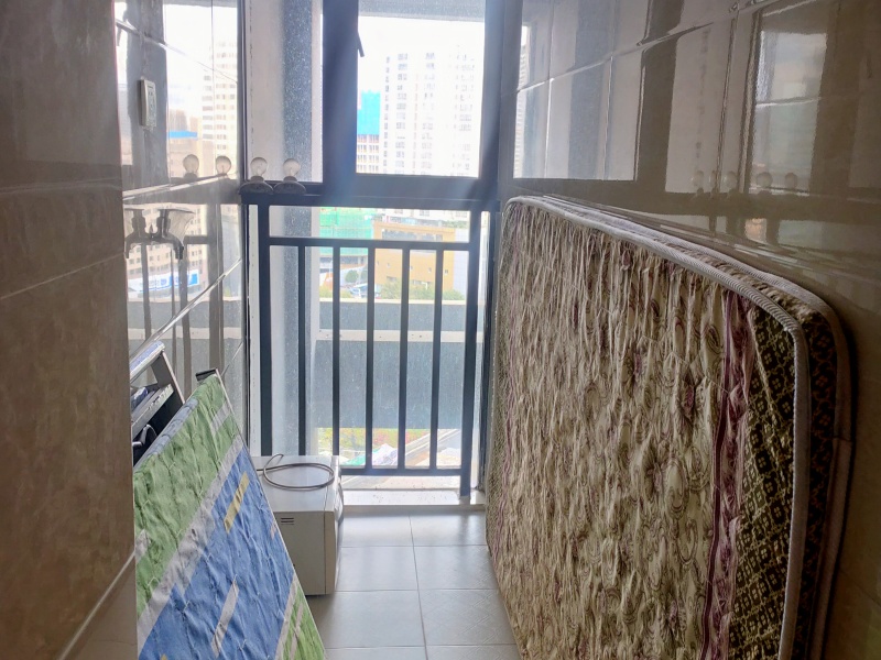 1室1陽(yáng)臺(tái) 銀杏金川客廳