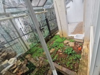 4室2廳2陽臺(tái) 清水木華別墅自家花園