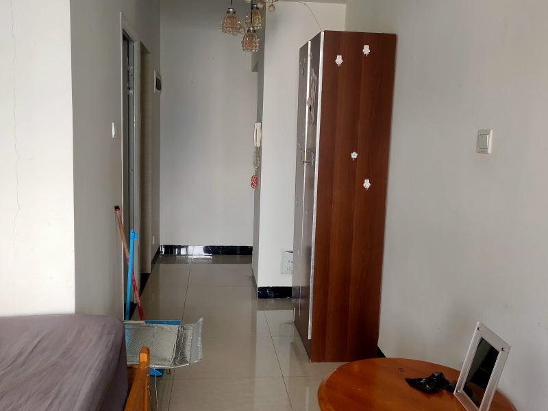 1室1陽(yáng)臺(tái) 銀杏金川客廳