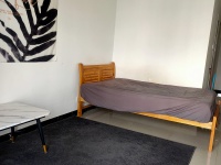 1室1陽(yáng)臺(tái) 銀杏金川客廳