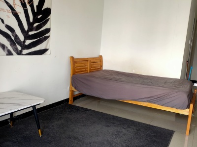 1室1陽(yáng)臺(tái) 銀杏金川客廳