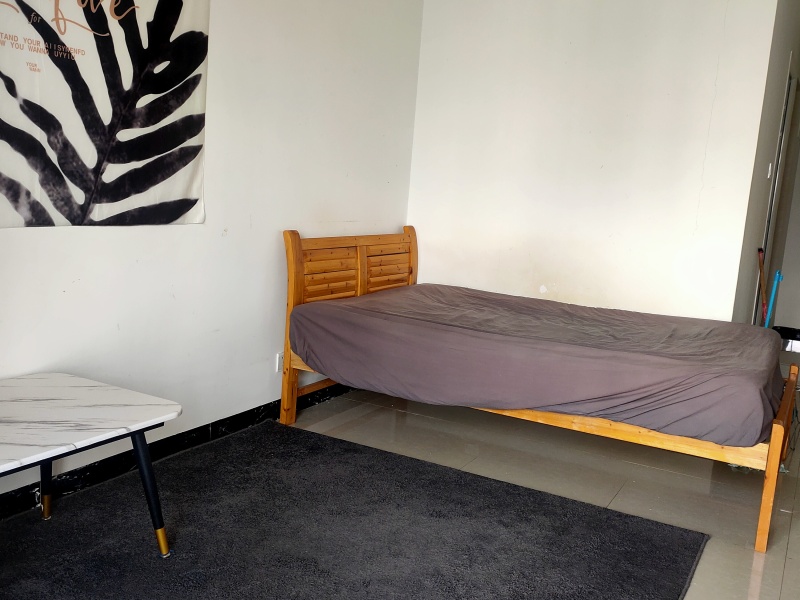 1室1陽(yáng)臺(tái) 銀杏金川客廳