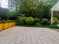 1室1陽(yáng)臺(tái) 銀杏金川客廳