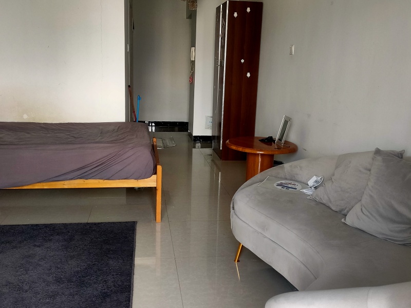 1室1陽(yáng)臺(tái) 銀杏金川客廳