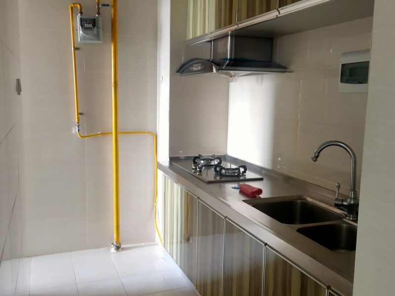 1室1陽(yáng)臺(tái) 銀杏金川客廳