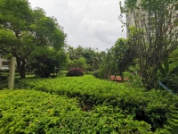 3室2廳1陽臺(tái) 上東城其他