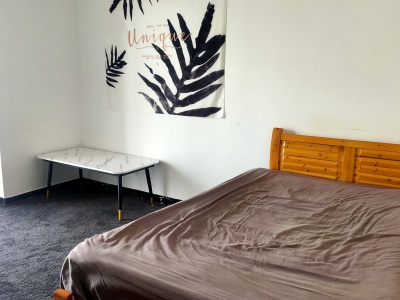 1室1陽(yáng)臺(tái) 銀杏金川客廳