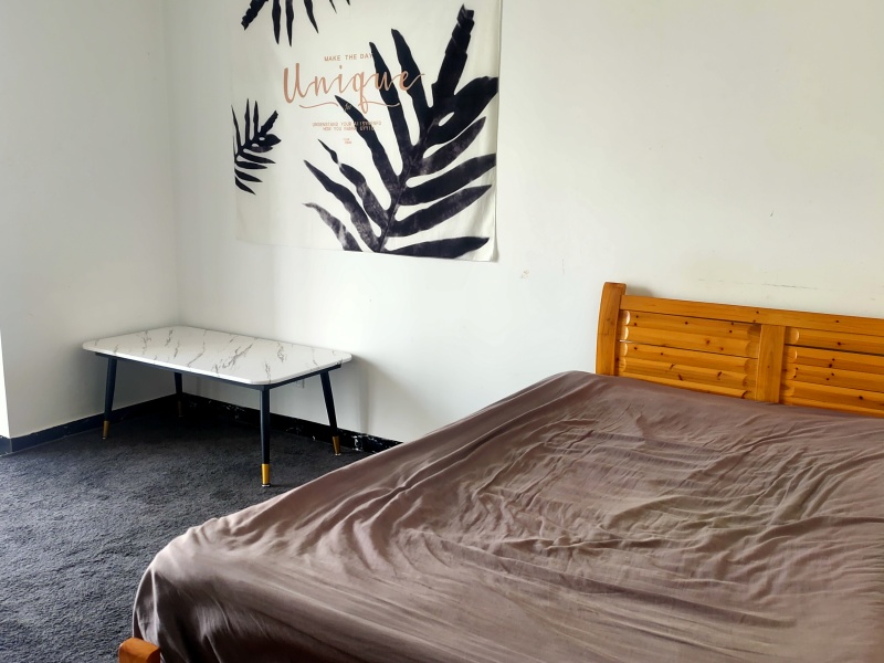 1室1陽(yáng)臺(tái) 銀杏金川客廳