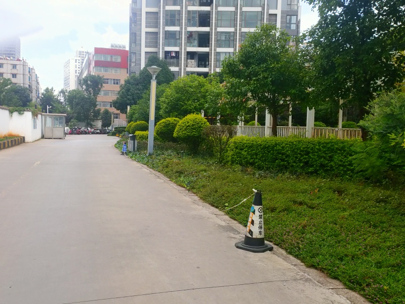 1室1陽(yáng)臺(tái) 銀杏金川客廳