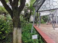 3室2廳1陽臺(tái) 上東城其他