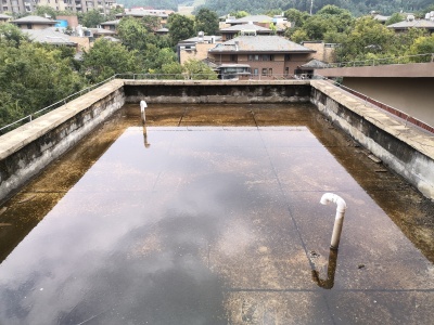 6室3廳3陽臺 溪麓南郡