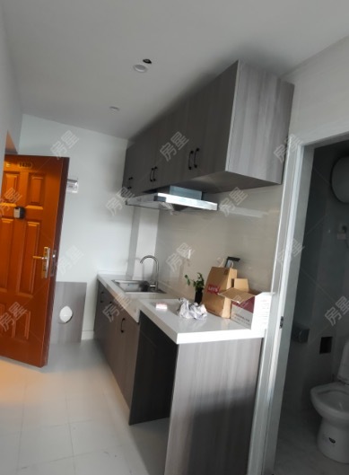 1室1陽臺 中房路易公元公寓廚房