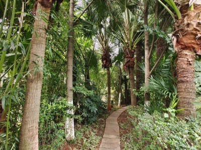 6室2廳2陽臺 世紀(jì)半島橄欖谷