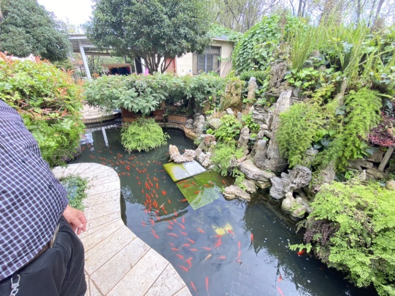 6室2廳3陽(yáng)臺(tái) 黃金海岸別墅別墅自家花園