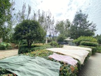 6室2廳3陽(yáng)臺(tái) 黃金海岸別墅別墅自家花園