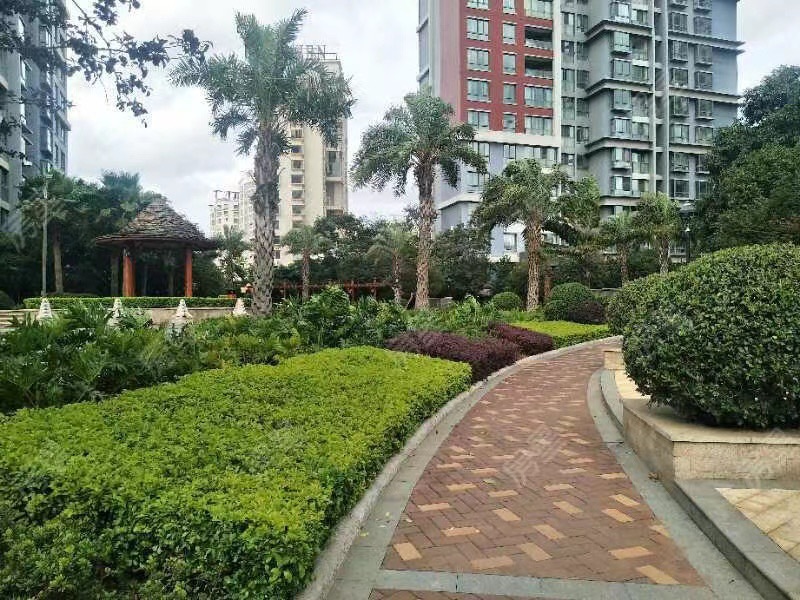 2室2廳2陽(yáng)臺(tái) 紅星國(guó)際晶品其他