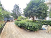 6室2廳3陽(yáng)臺(tái) 黃金海岸別墅別墅自家花園