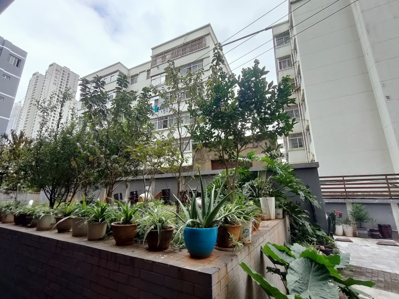 1室1廳1陽臺(tái) 拓東路96號(hào)公寓自家花園