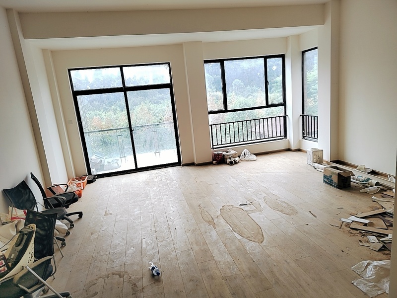 5室2廳3陽臺(tái) 清水佳湖雅居別墅客廳