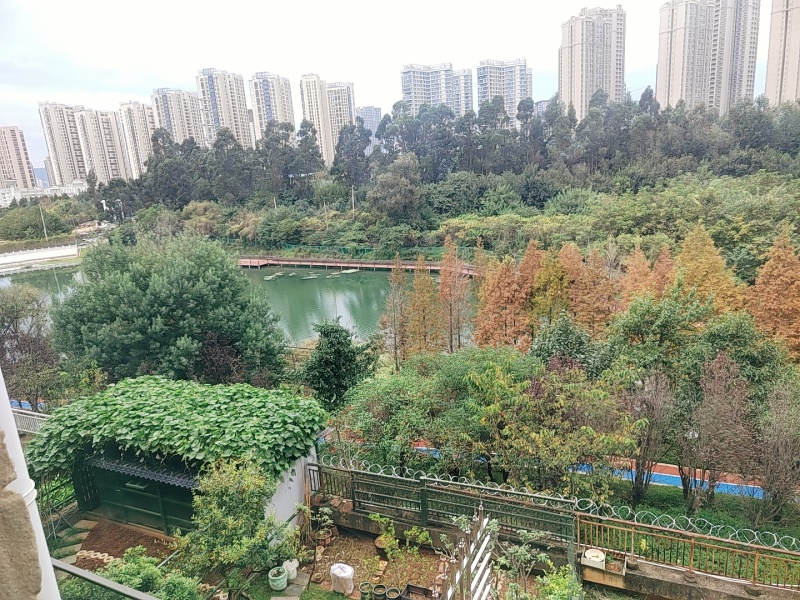 5室2廳3陽臺(tái) 清水佳湖雅居別墅客廳