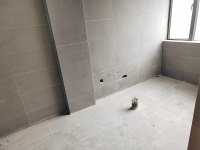 5室2廳3陽臺(tái) 清水佳湖雅居別墅客廳