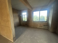 5室2廳2陽臺 平和花園客廳