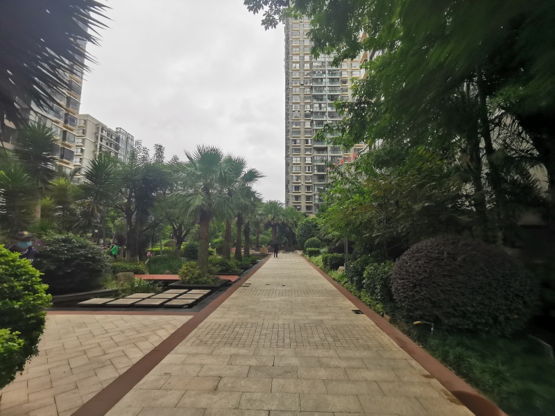 上东城其他