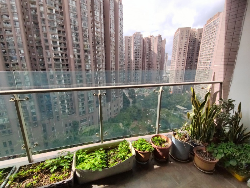 5室2廳2陽(yáng)臺(tái) 和諧世紀(jì)其他