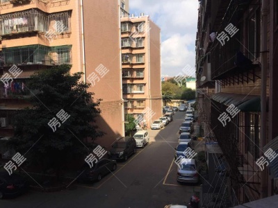 4室2廳1陽臺 中成花園