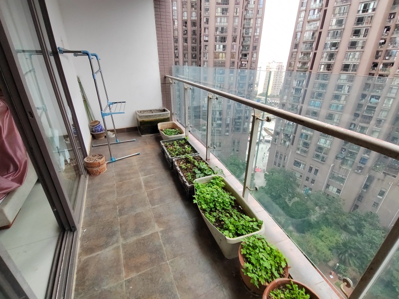 5室2廳2陽(yáng)臺(tái) 和諧世紀(jì)其他