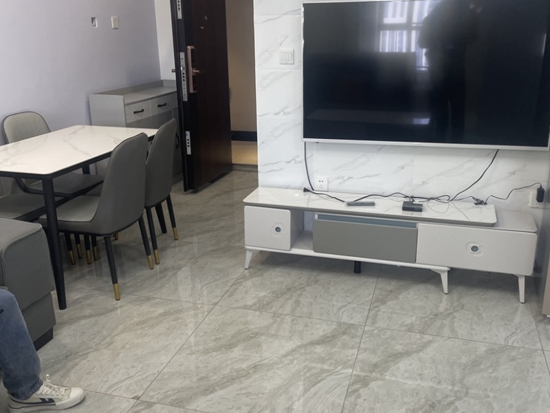 1室1廳1陽臺(tái) 南悅城公寓公寓客廳