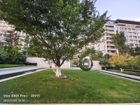 5室2廳5陽臺(tái) 金科江湖海其他