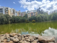 4室2廳2陽臺 湖畔之夢其他