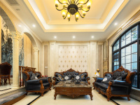 5室2廳2陽(yáng)臺(tái) 滇池ONE一期別墅其他