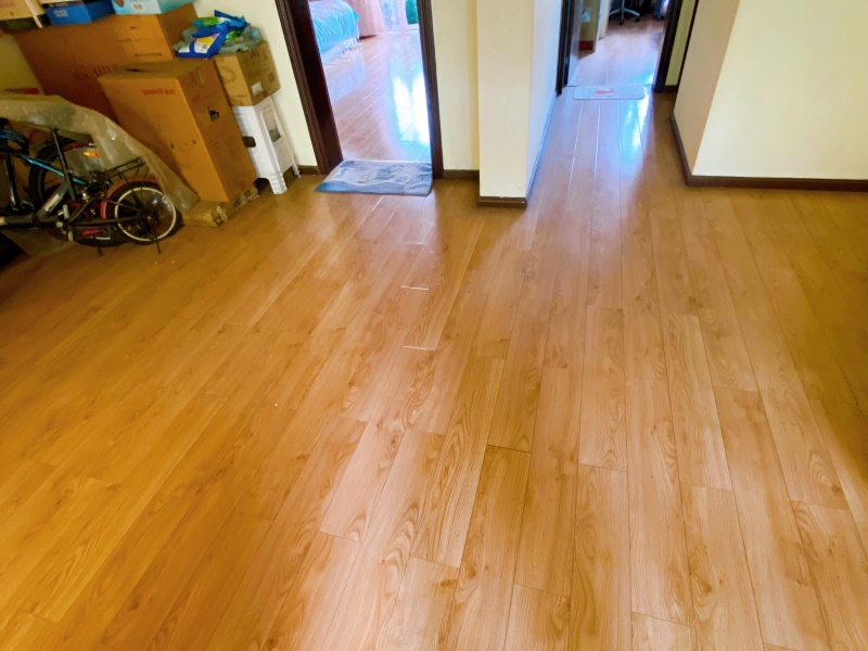 6室2廳3陽臺 西麗園客廳