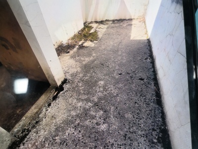 6室2廳3陽臺 金林碧水