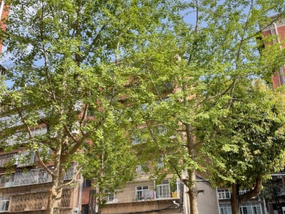 3室2廳1陽臺(tái) 萬興花園